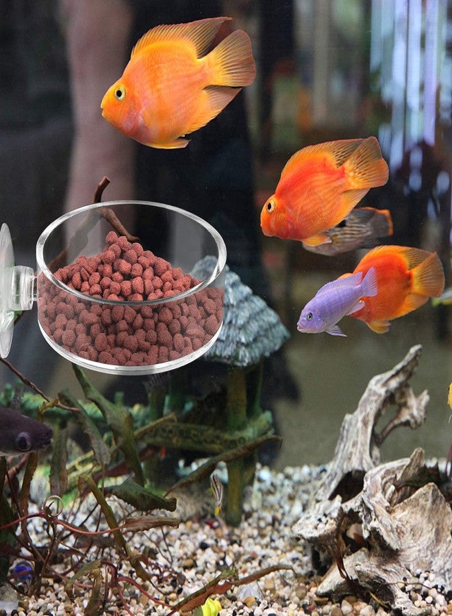 Dannisly Aquarium Shrimp Feeder Dish Round Fish Tank Feeder Bowls Clear Aquarium Feeding Cup with Suction Cup - Image 3